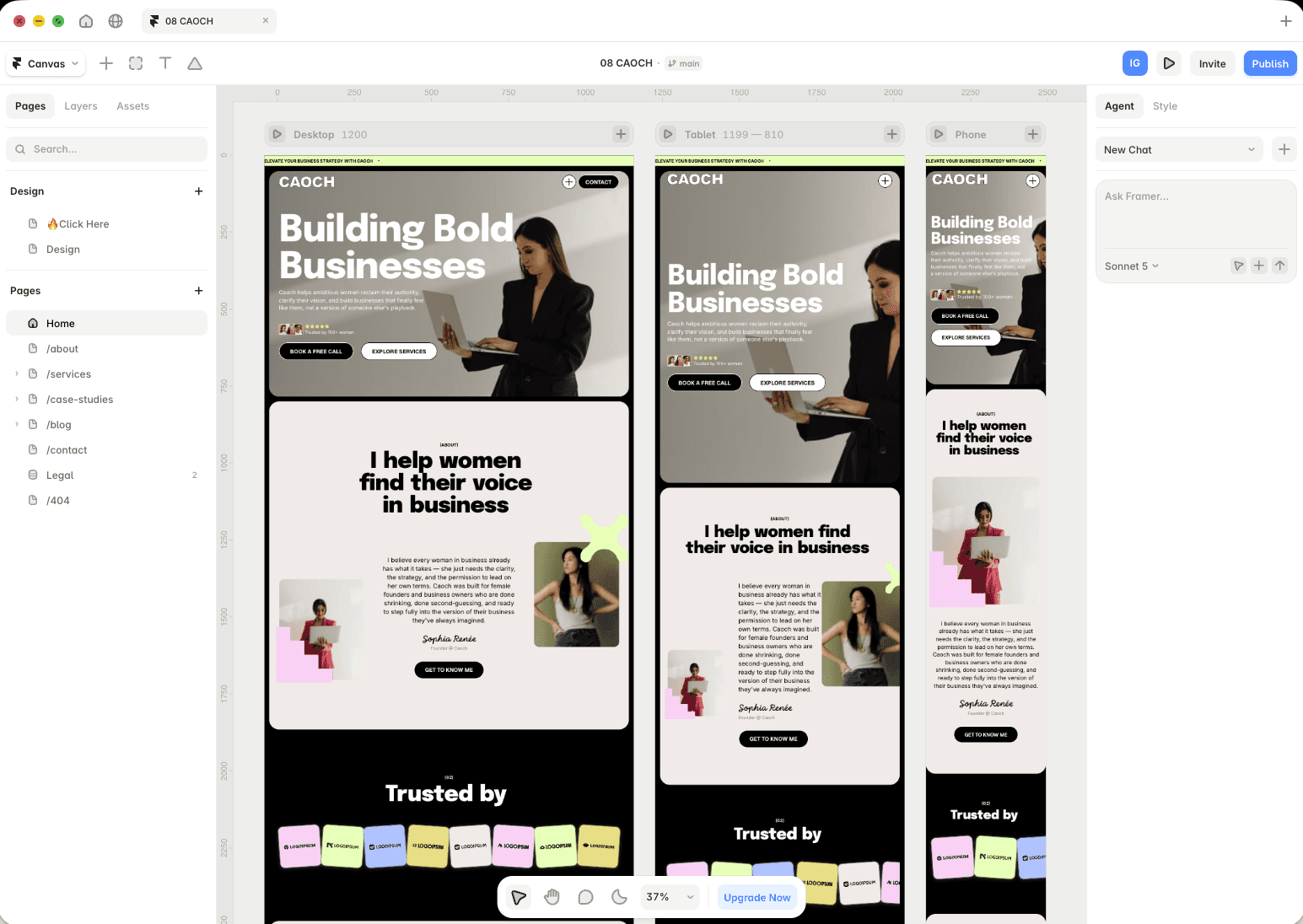 Screenshot of Framer interface light theme